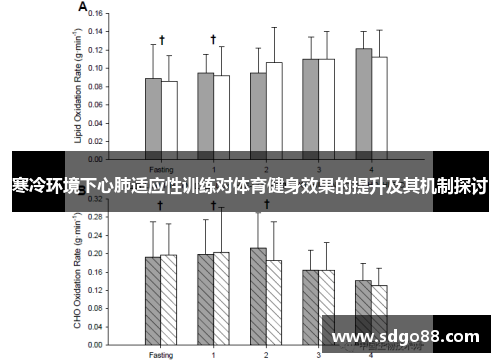 寒冷环境下心肺适应性训练对体育健身效果的提升及其机制探讨