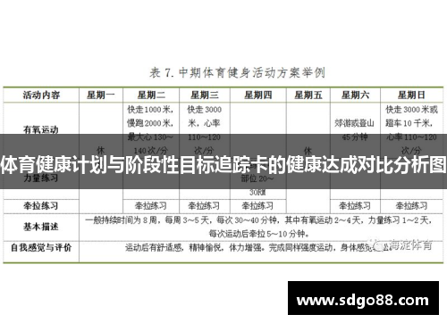 体育健康计划与阶段性目标追踪卡的健康达成对比分析图