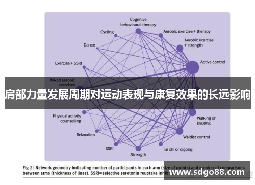 肩部力量发展周期对运动表现与康复效果的长远影响