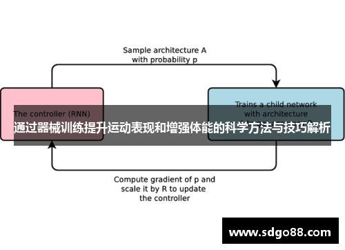 通过器械训练提升运动表现和增强体能的科学方法与技巧解析